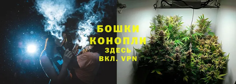 где можно купить   Ярославль  Каннабис OG Kush 